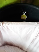 To ask if you have this bin...