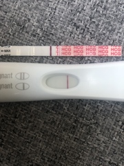 TWW 1DPO