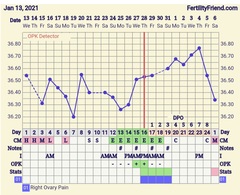 BBT and OPK confusion!!