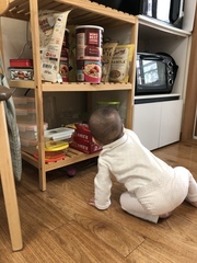 June 2020 Babies-Six months on: mobile babies, feeding adventures, and still sleepless nights! 3rd thread