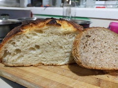 Calling sourdough starter experts!