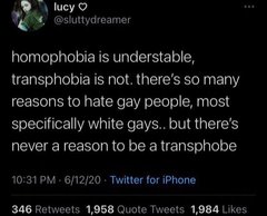 Evidence of TRA /Gender Idealogue Homophobia