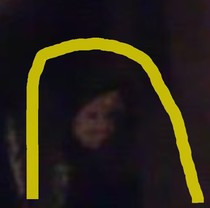 What is in the picture?
