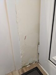 Damp next to back door