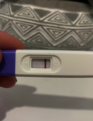 Bfp or dye run?