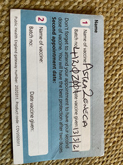 Vaccine passport - what documentation?