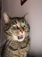 Frugaleers -Marching March-wards Making Money Matter