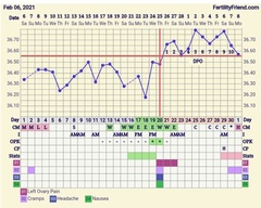 BBT and OPK confusion!!