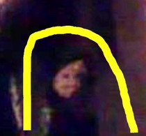 What is in the picture?