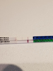 Whats going on? AF 2 days late...BFN. pics attached.