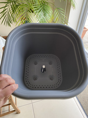 Complete novice wanting to grow something!