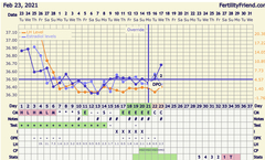 Any idea what is happening here?