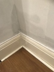 Help with damp in dining room