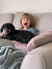 Aug 2021 - 2nd Trimester continues