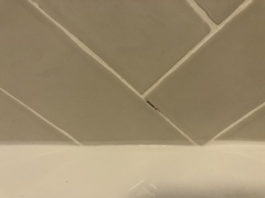 Bathroom tile grout problem