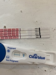 Positive & negative tests with same urine?!