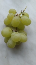 Posting pics of everything you eat thread!