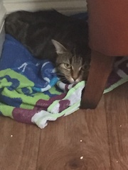 Frugaleers -Marching March-wards Making Money Matter