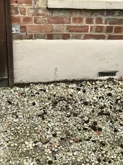 Help with damp in dining room