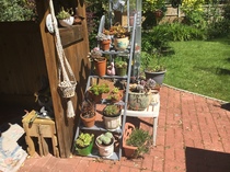 Pots aplenty