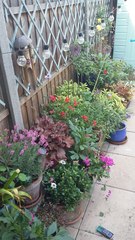 Pots aplenty