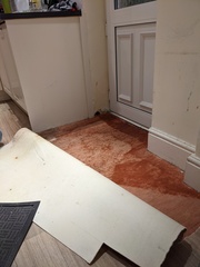 Damp next to back door