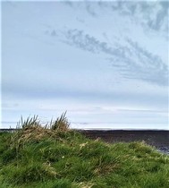 Any Witches here? Part 13