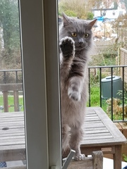 What's your DCat up to today? (Thread 8)