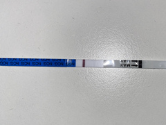10 DPO