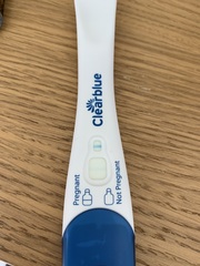 🦕 Catching up - ttc after miscarriage part 5 🦕