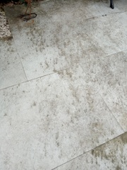 Cleaning porcelain garden slabs - any ideas