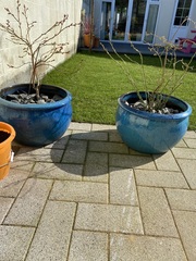 Frugaleers -Marching March-wards Making Money Matter