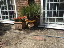 Pots aplenty