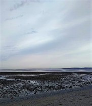 Any Witches here? Part 13