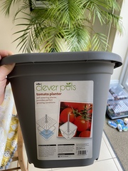 Complete novice wanting to grow something!