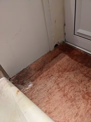 Damp next to back door