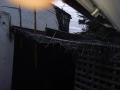 Neighbour throwing cat poo into my garden