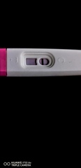 TW pregnancy test