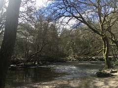 Any Witches here? Part 13