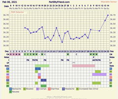 When did I ovulate? Chart inc
