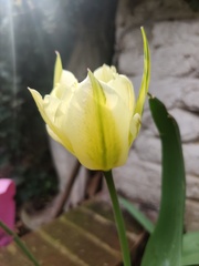 Show Us Your Pictures 4
