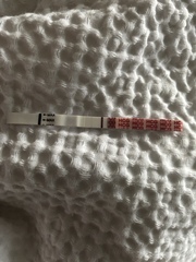 TWW 1DPO