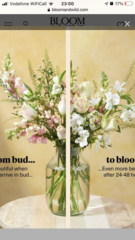 Dead Bloom & Wild Flowers