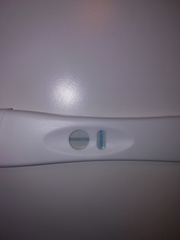 Is this a BFP???