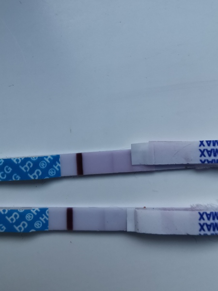 Baby Bandwagon April TTC