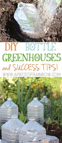 Help~ Veggie patch/pots for kids - Start from the basic...