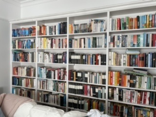 Has anyone painted Ikea Billy bookcases?