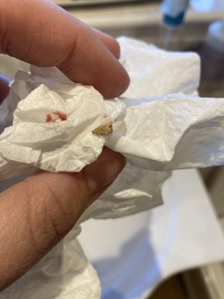 Best moment of my life