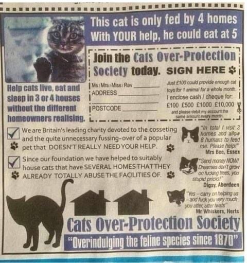 Cats are nobs