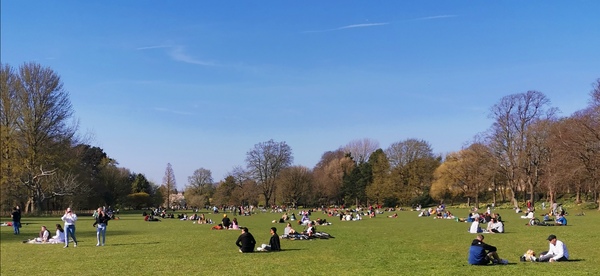 People walking cats and rabbits on leads in parks